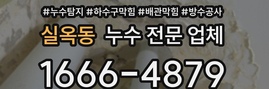 실옥동 누수 전문 업체