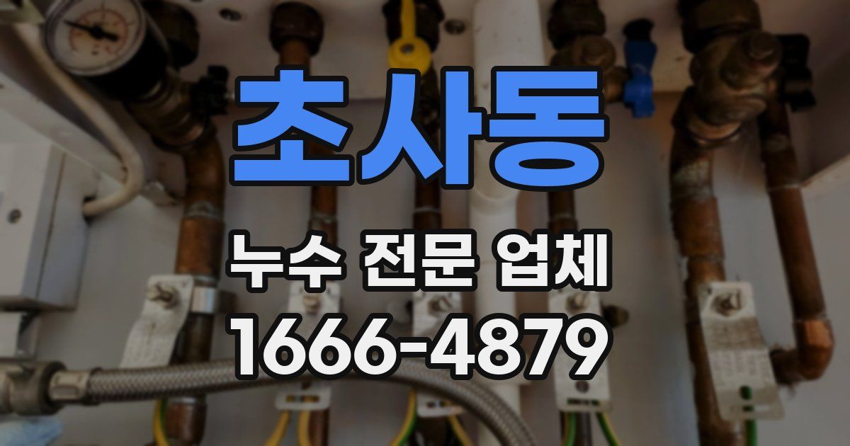 초사동 누수 전문 업체