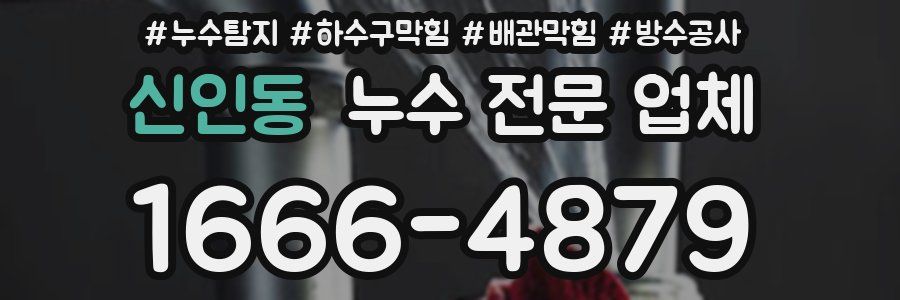 신인동 누수 전문 업체
