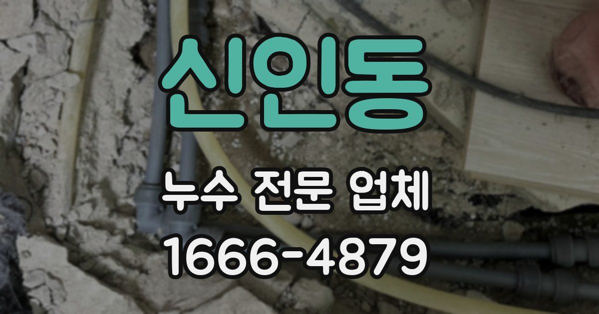 신인동 누수 전문 업체