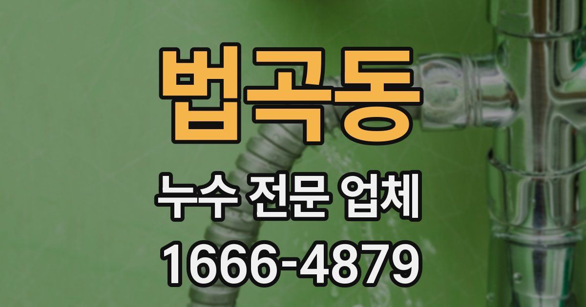 법곡동 누수 전문 업체