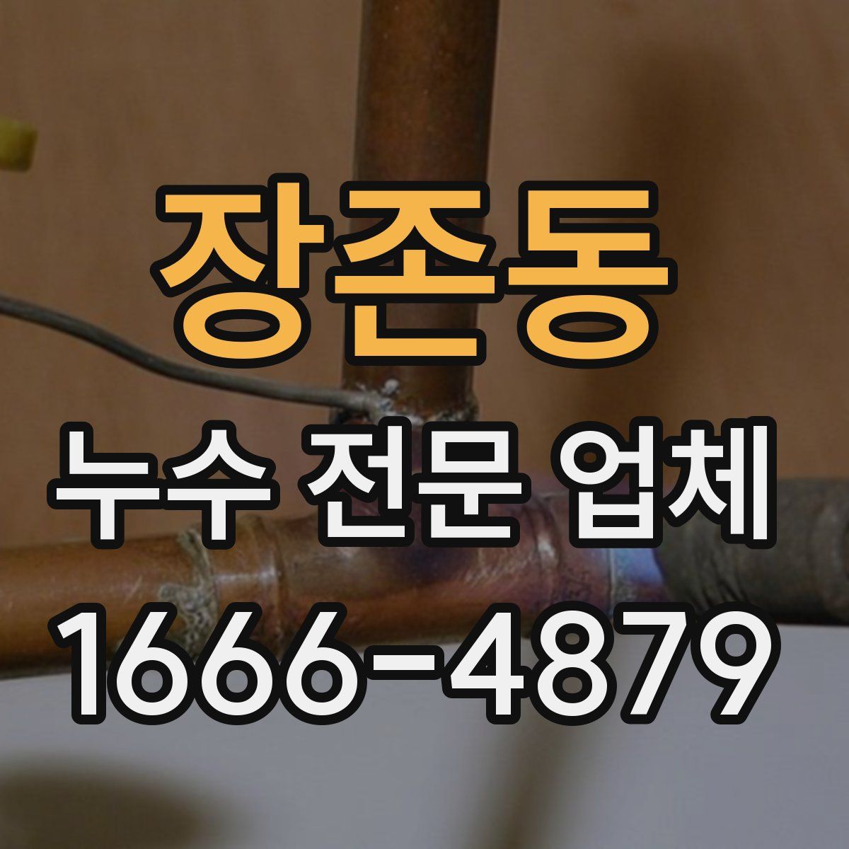 장존동 누수 전문 업체