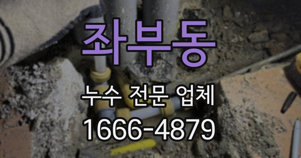 좌부동 누수 전문 업체