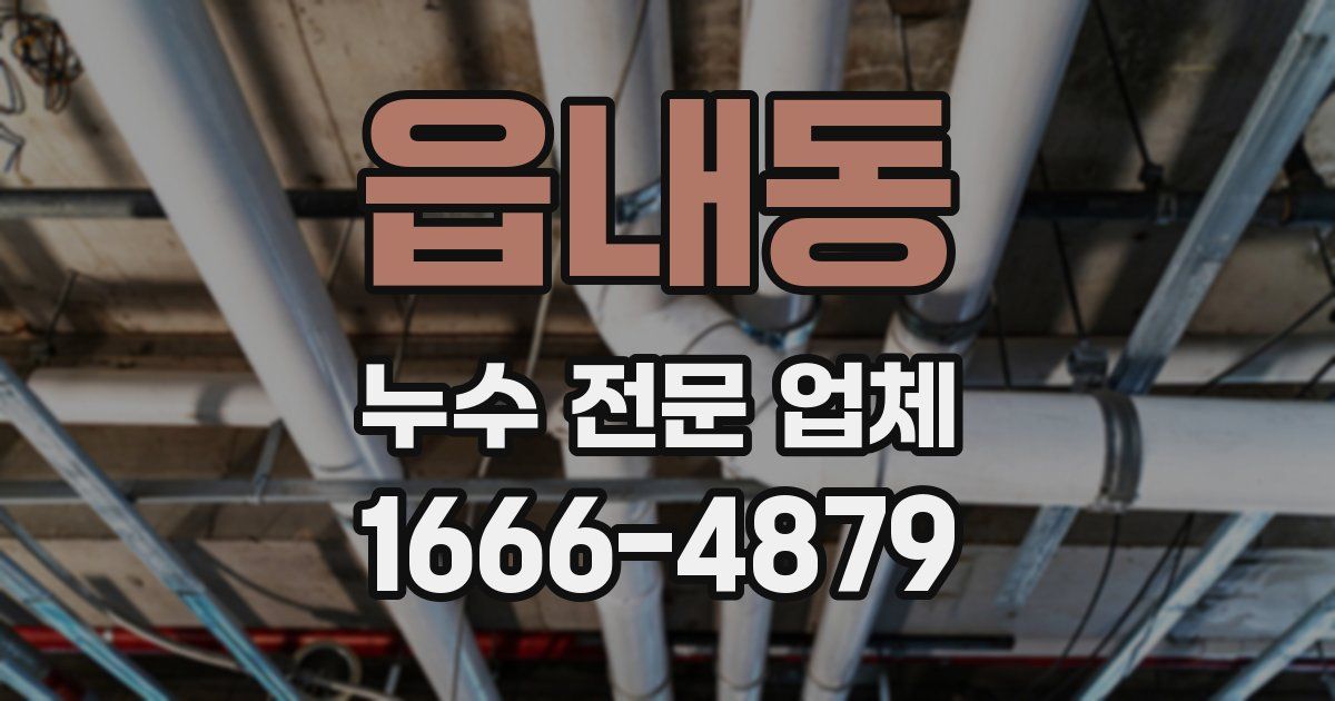 읍내동 누수 전문 업체