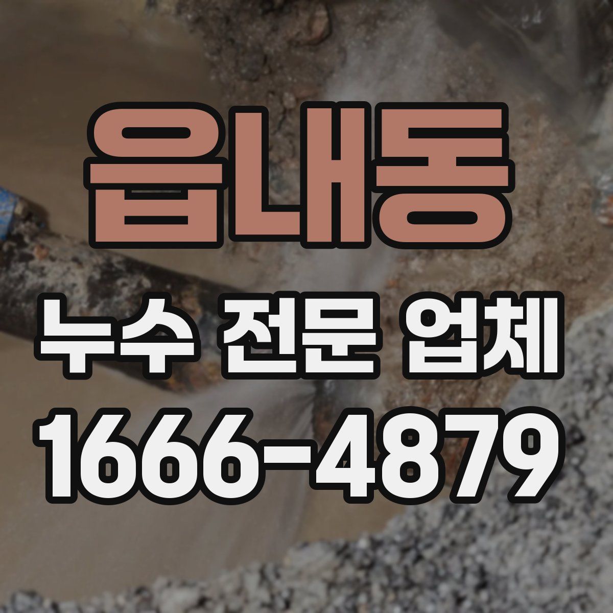 읍내동 누수 전문 업체