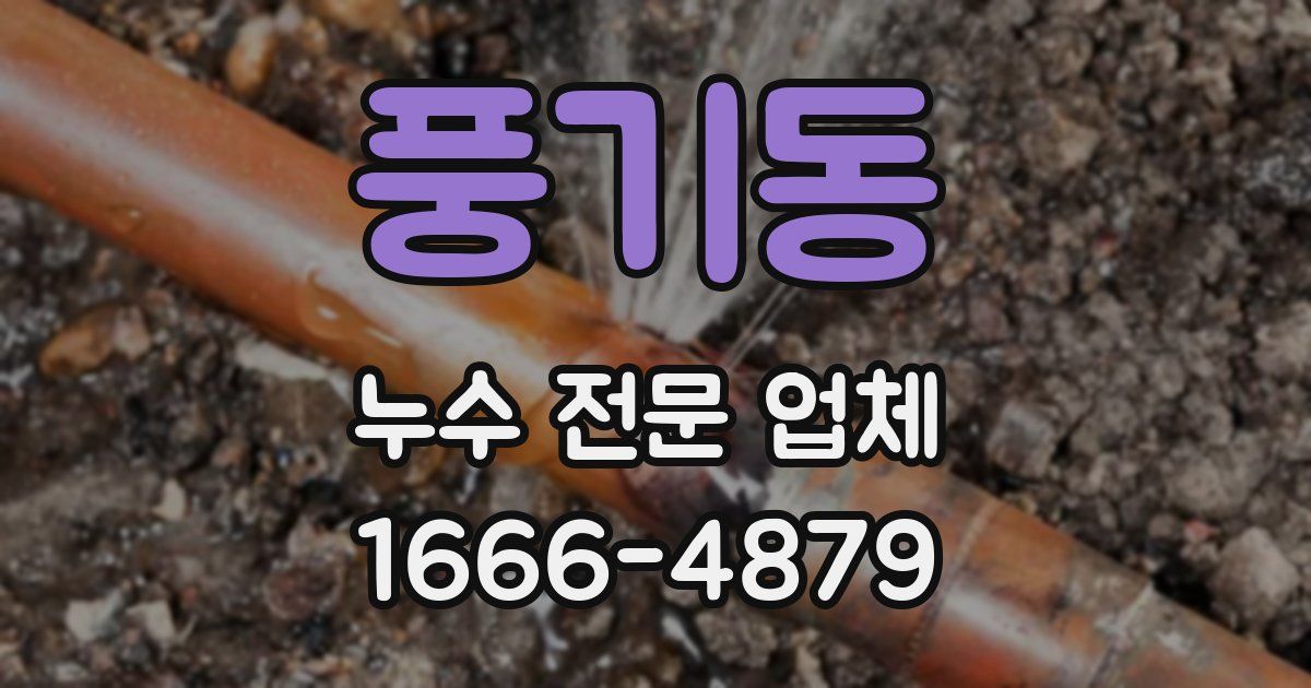 풍기동 누수 전문 업체