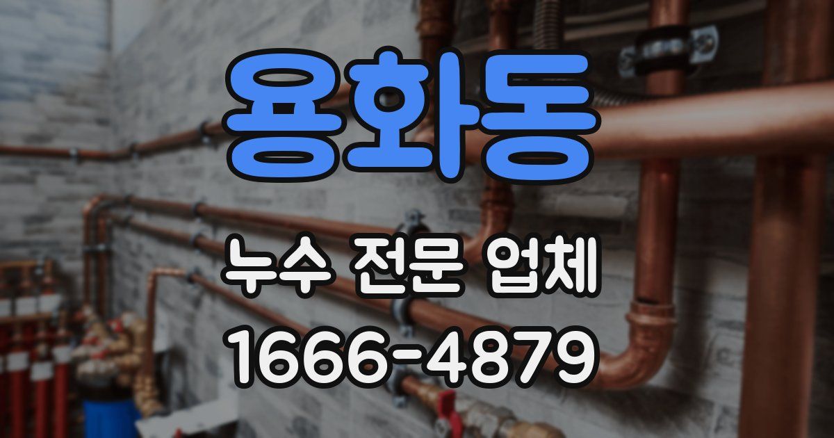 용화동 누수 전문 업체