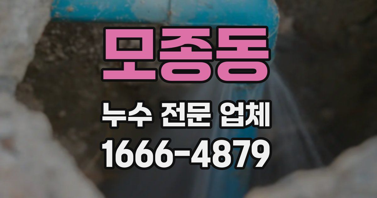 모종동 누수 전문 업체