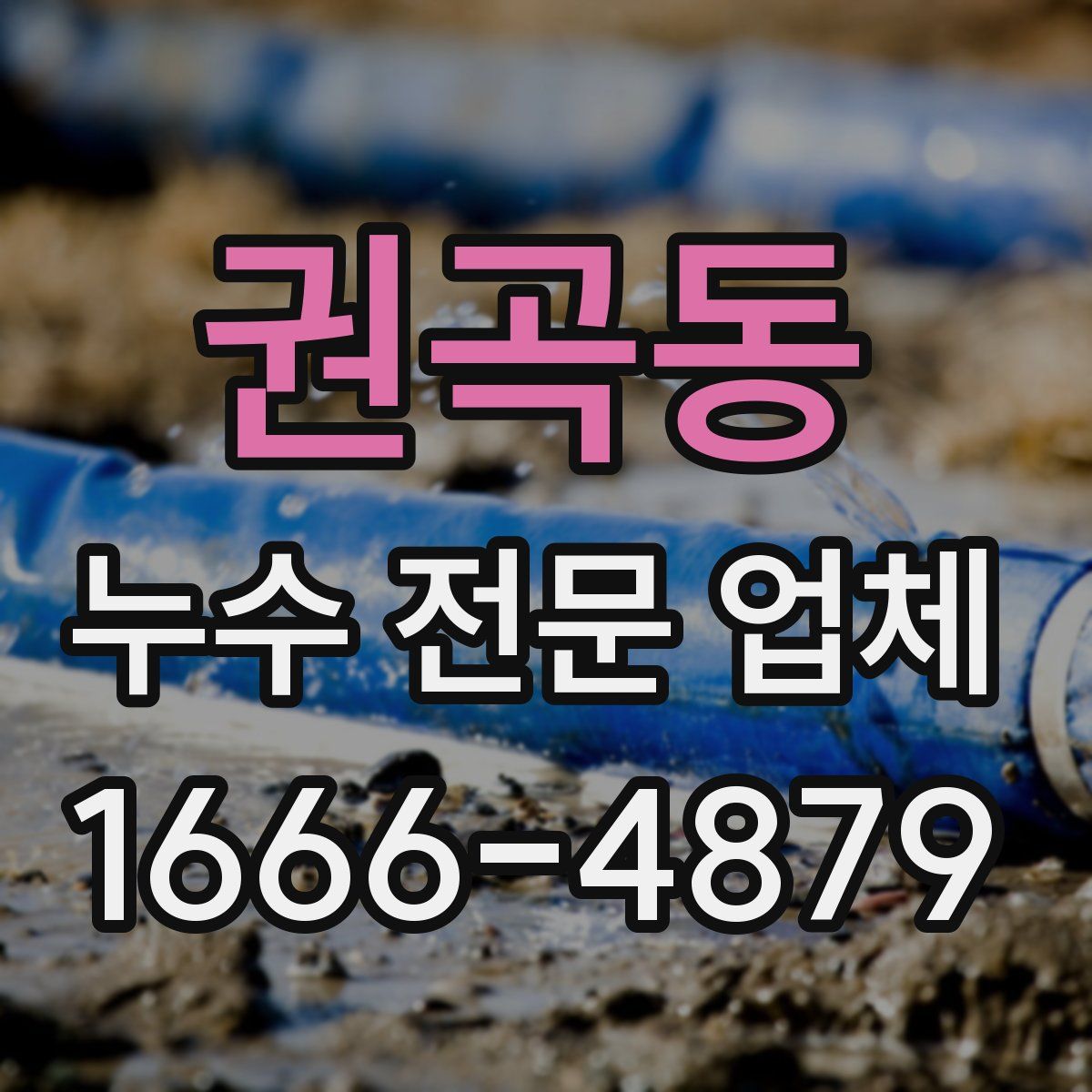 권곡동 누수 전문 업체