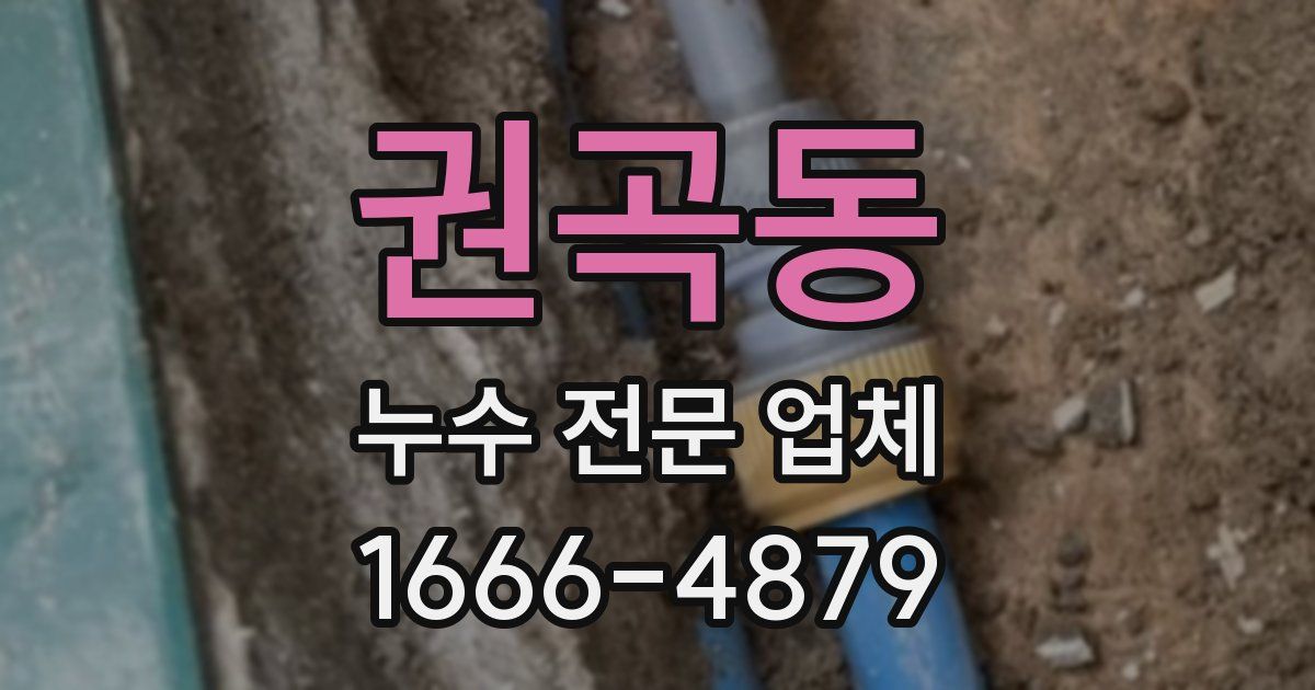 권곡동 누수 전문 업체