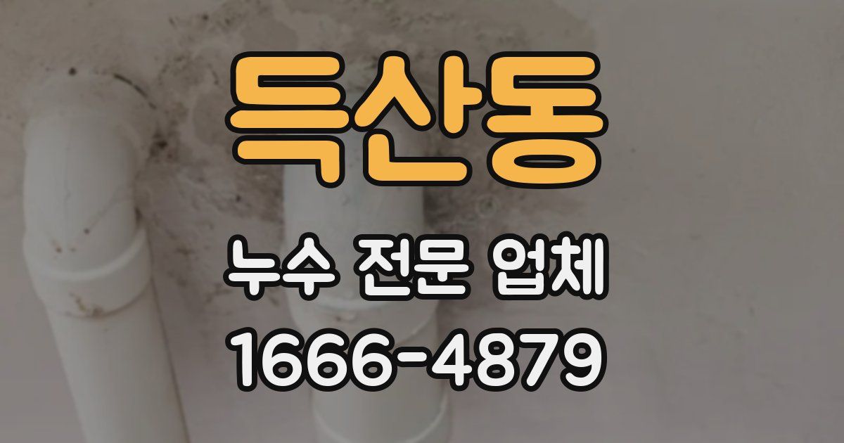 득산동 누수 전문 업체