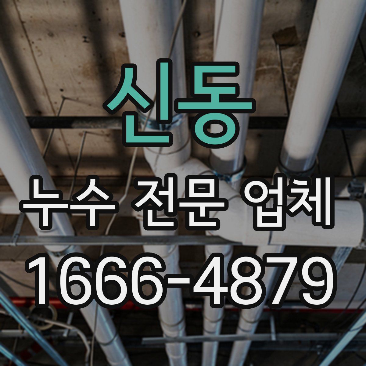 신동 누수 전문 업체