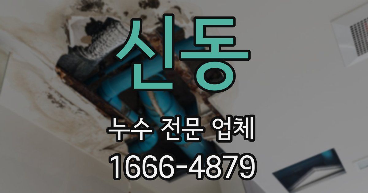 신동 누수 전문 업체