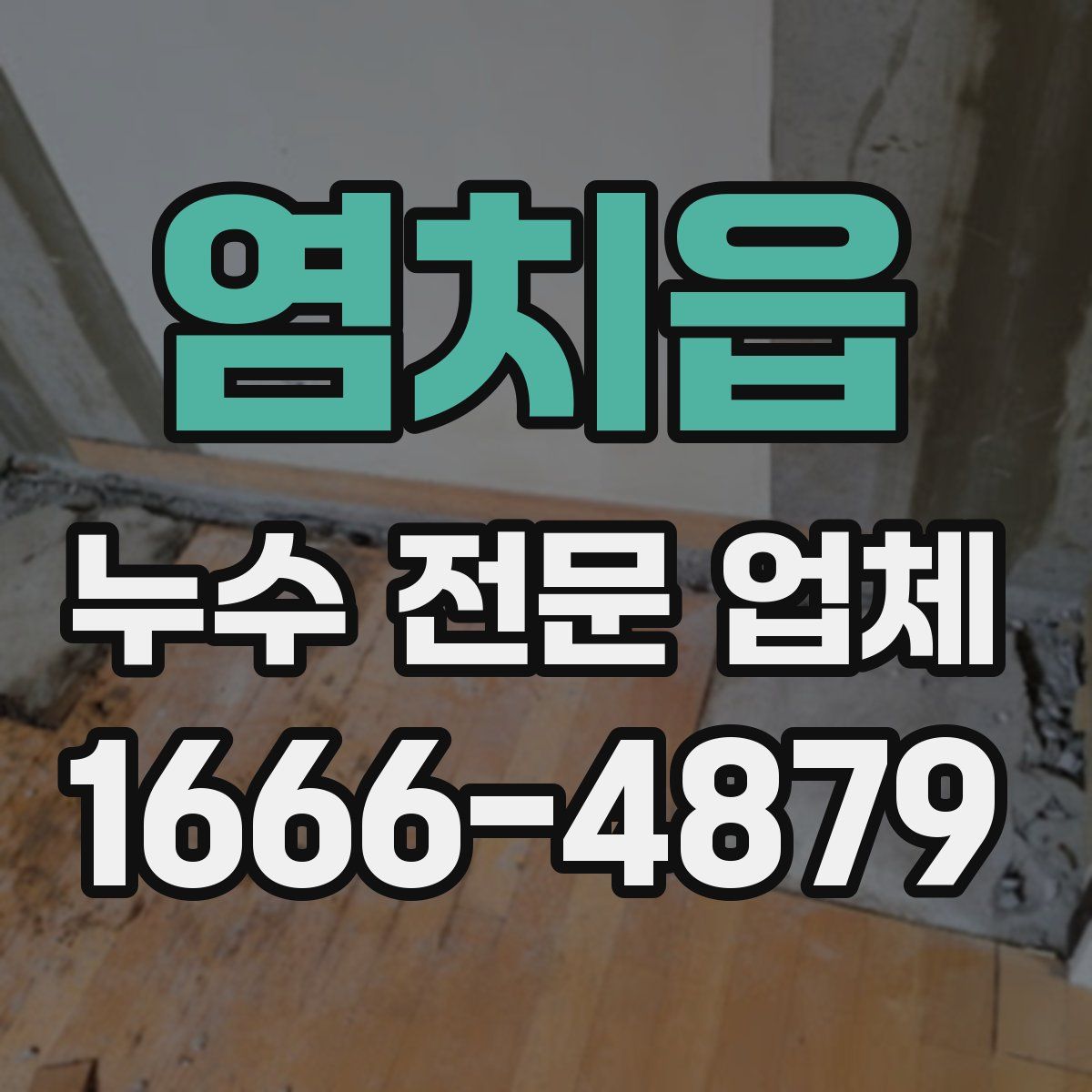 염치읍 누수 전문 업체