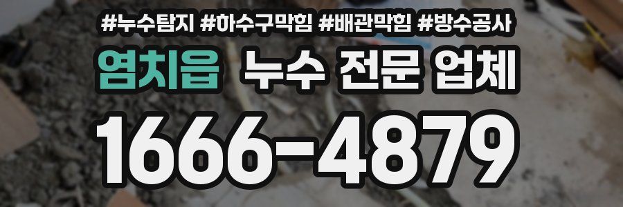 염치읍 누수 전문 업체