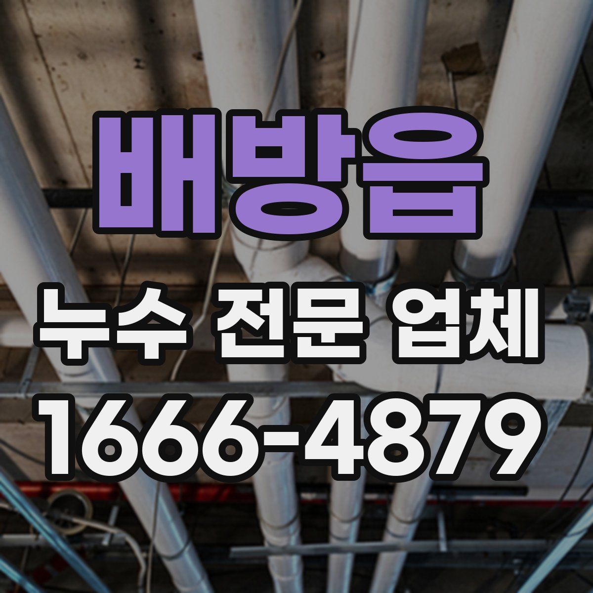 배방읍 누수 전문 업체