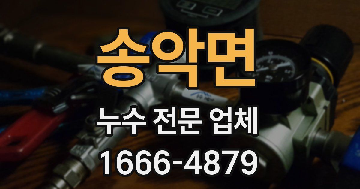 송악면 누수 전문 업체