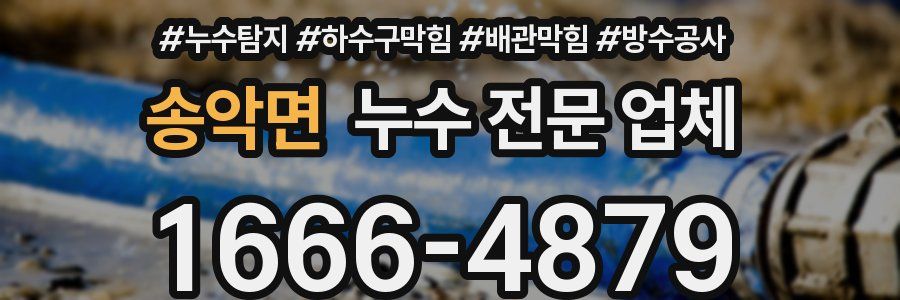 송악면 누수 전문 업체