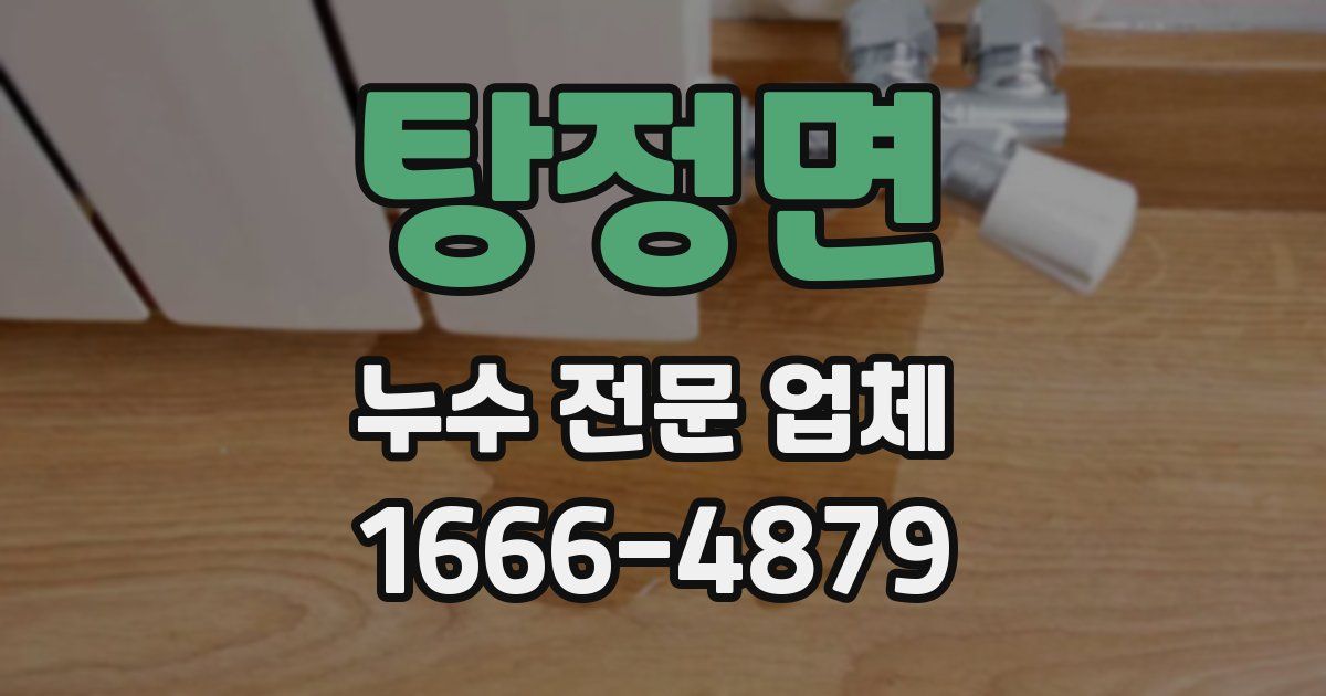 탕정면 누수 전문 업체