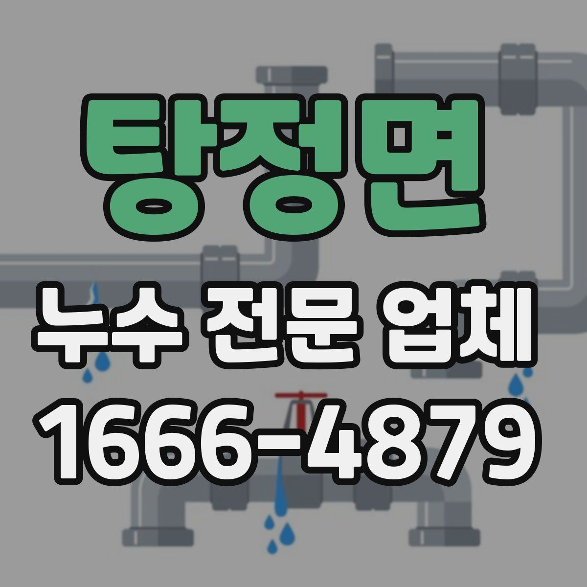 탕정면 누수 전문 업체