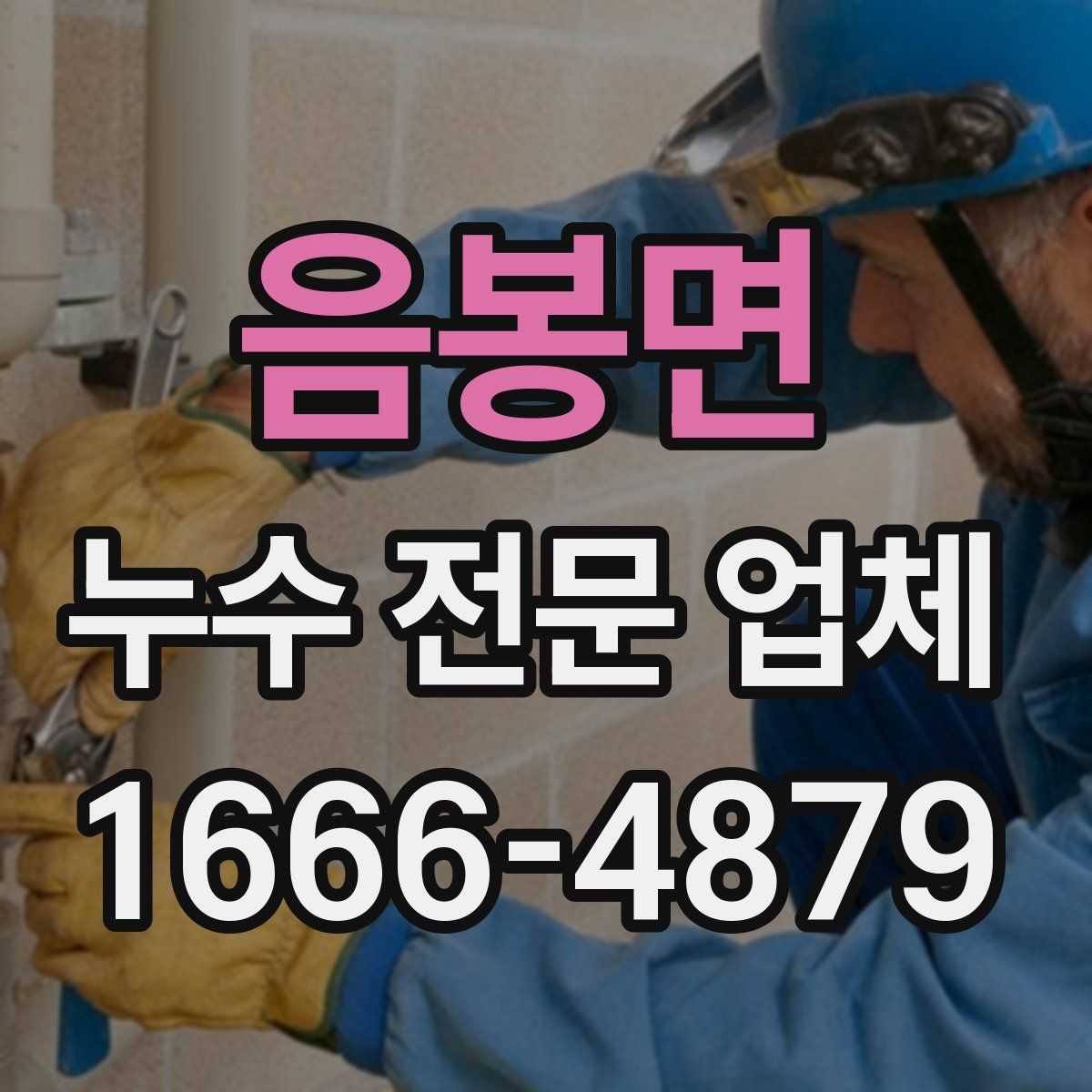 음봉면 누수 전문 업체
