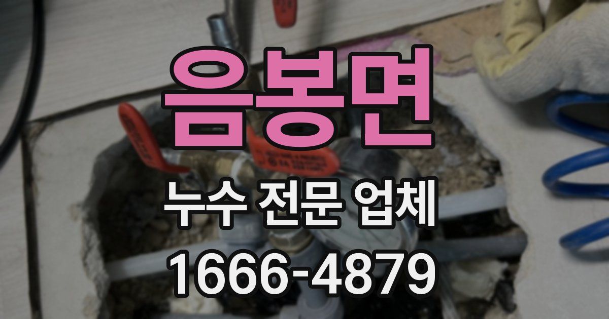 음봉면 누수 전문 업체