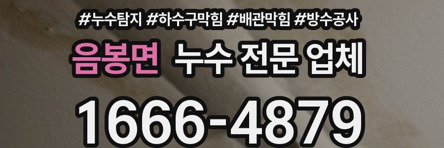 음봉면 누수 전문 업체