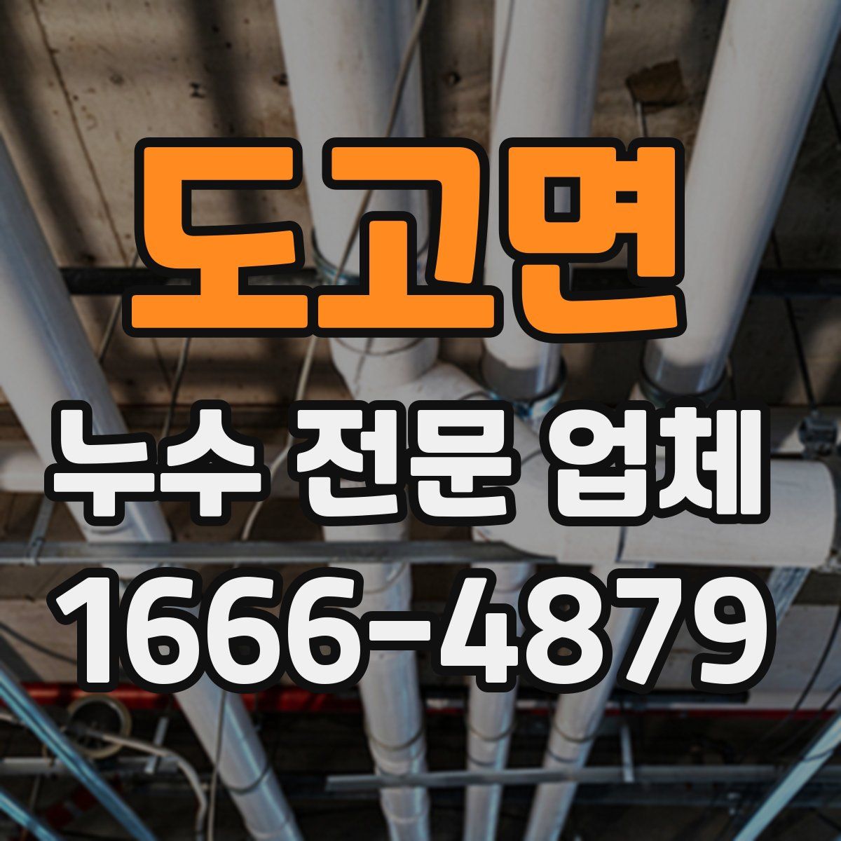 도고면 누수 전문 업체