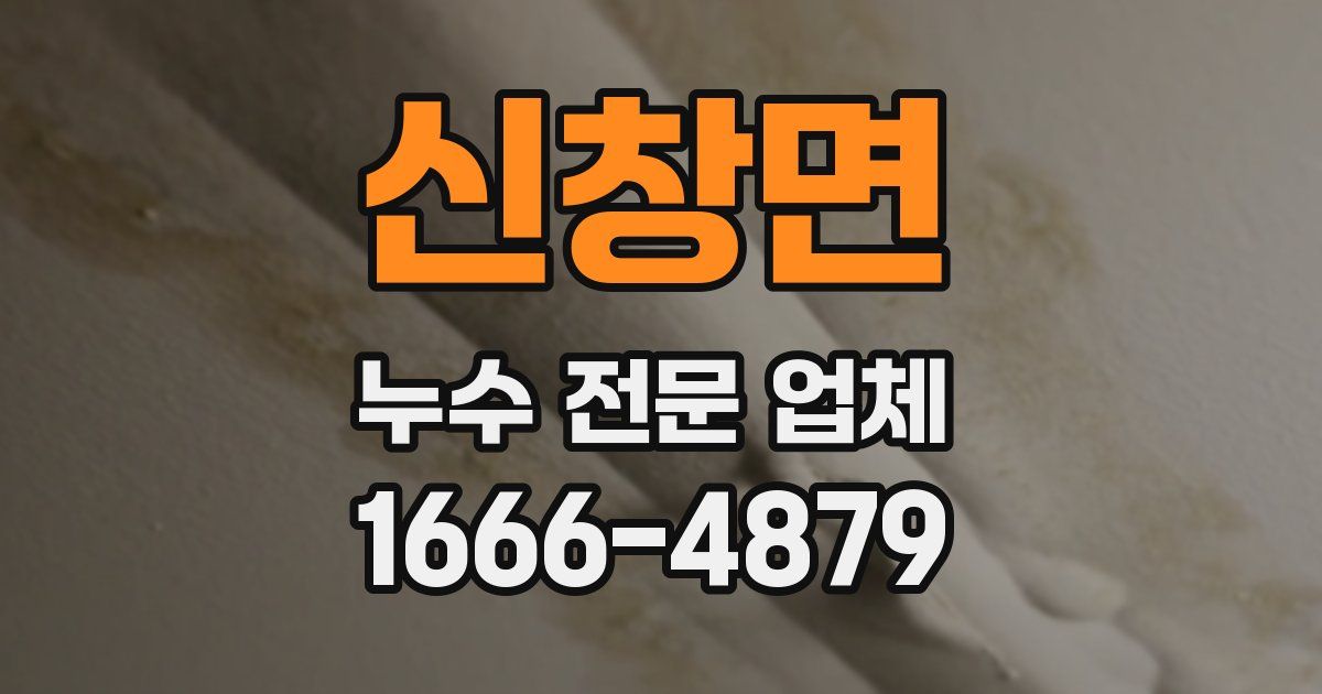 신창면 누수 전문 업체