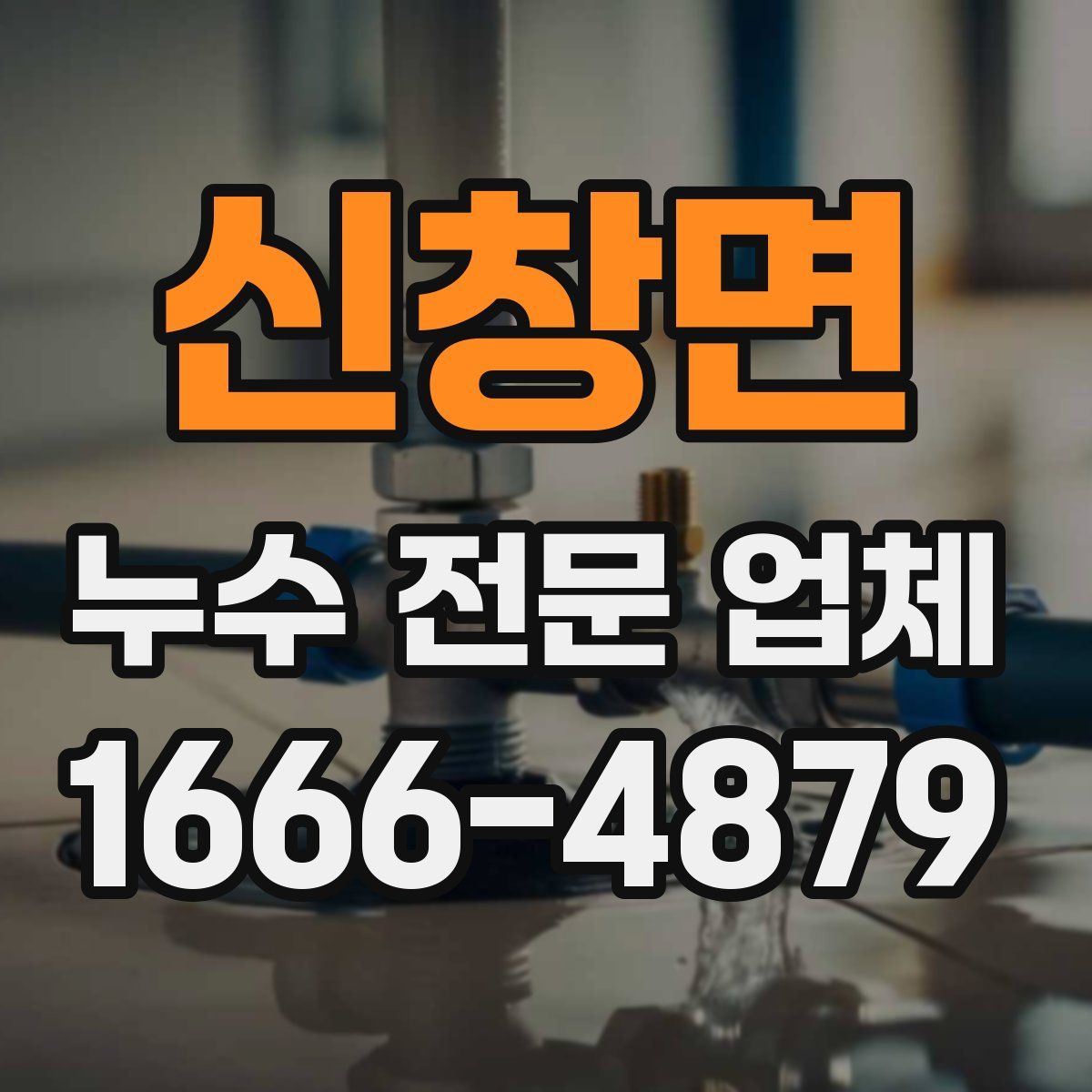 신창면 누수 전문 업체