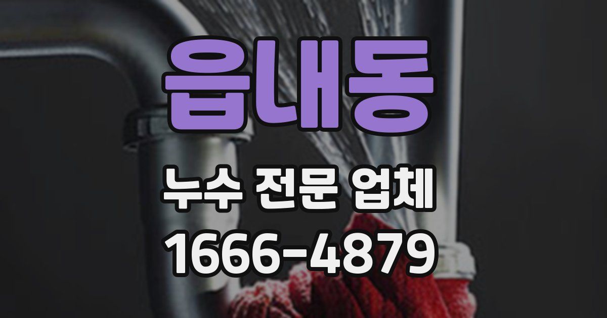 읍내동 누수 전문 업체
