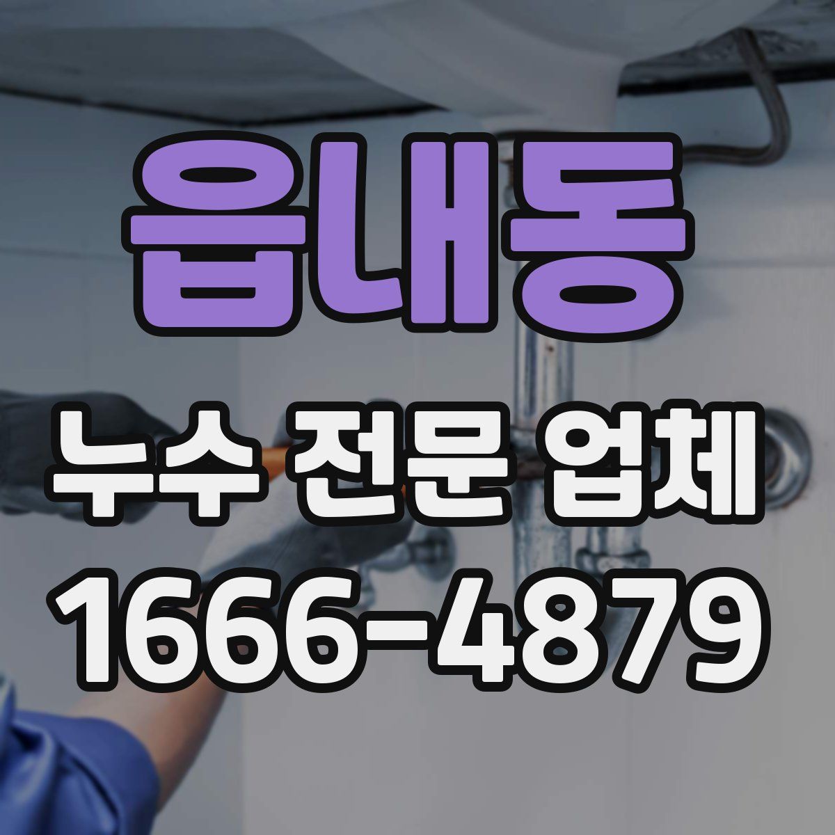 읍내동 누수 전문 업체