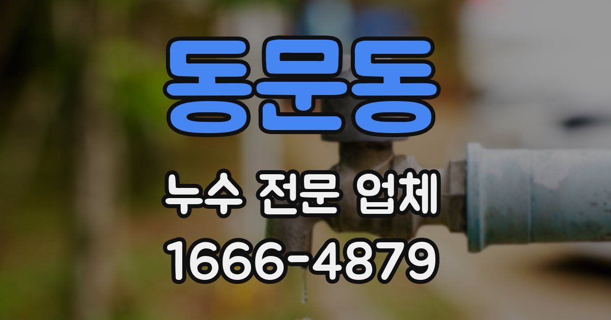 동문동 누수 전문 업체