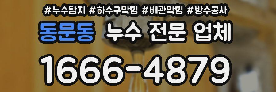 동문동 누수 전문 업체