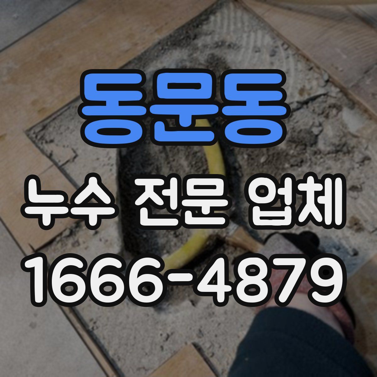 동문동 누수 전문 업체