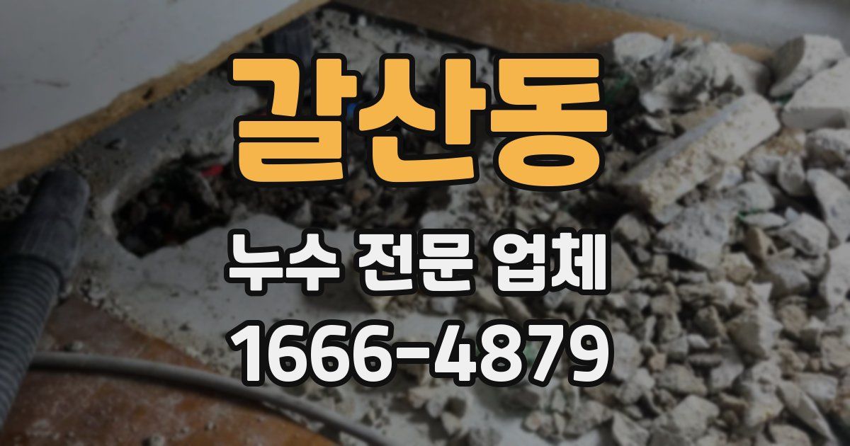 갈산동 누수 전문 업체