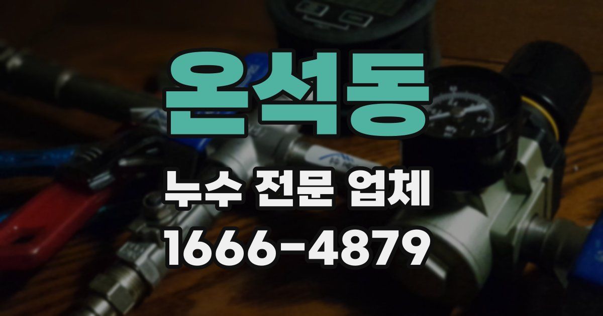 온석동 누수 전문 업체