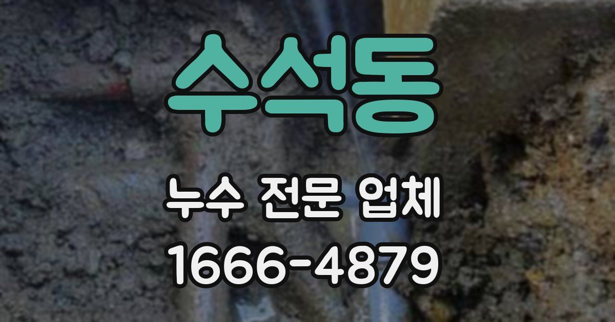 수석동 누수 전문 업체