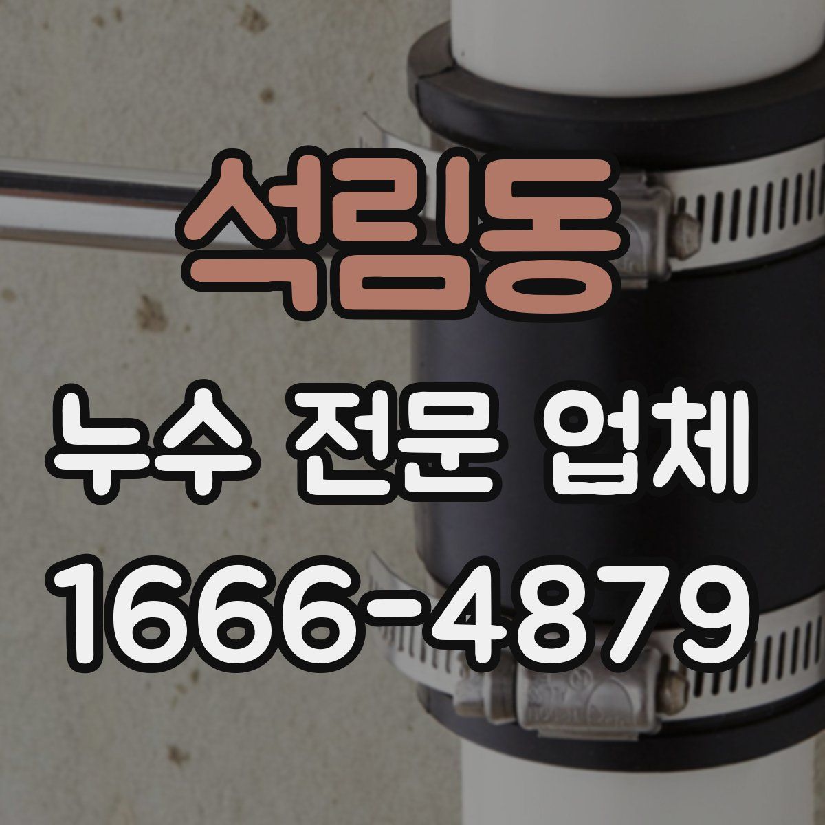 석림동 누수 전문 업체
