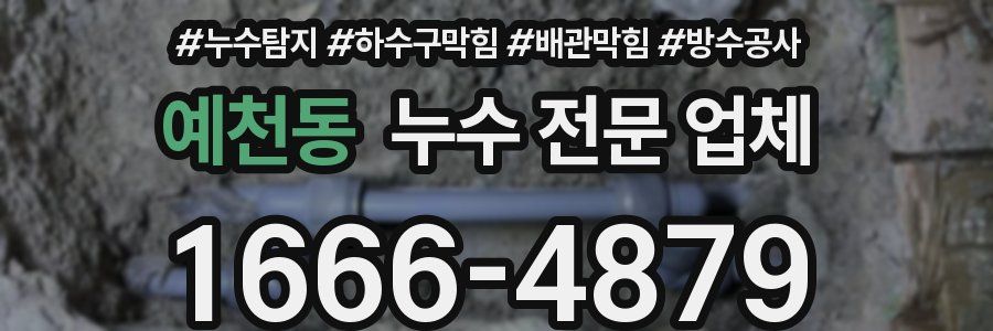 예천동 누수 전문 업체