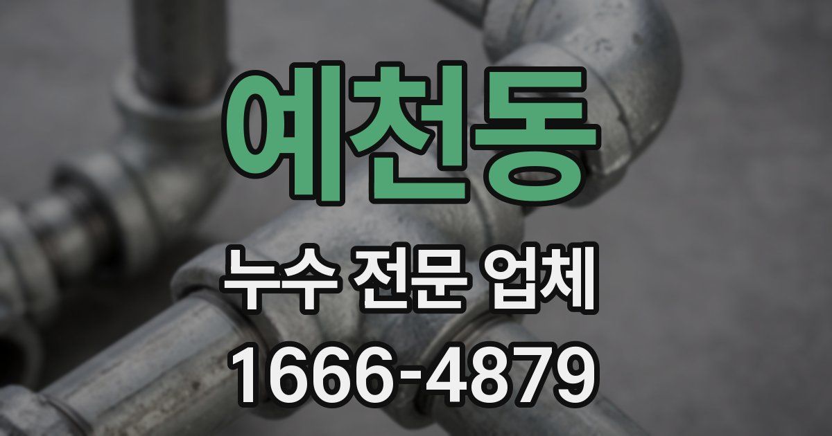 예천동 누수 전문 업체