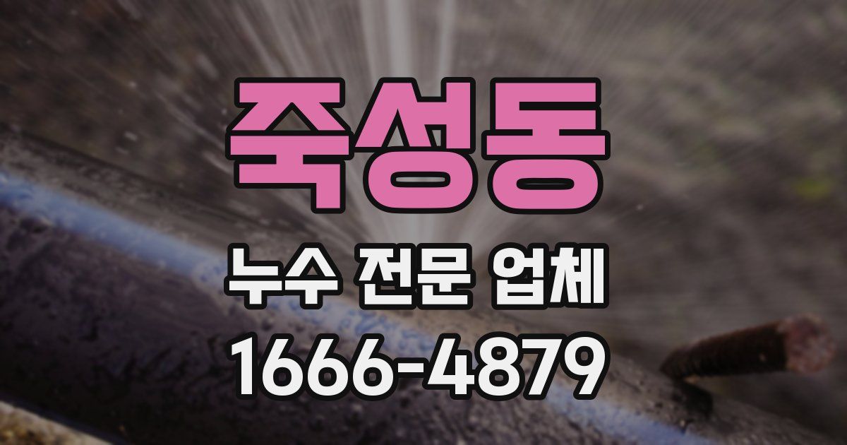 죽성동 누수 전문 업체