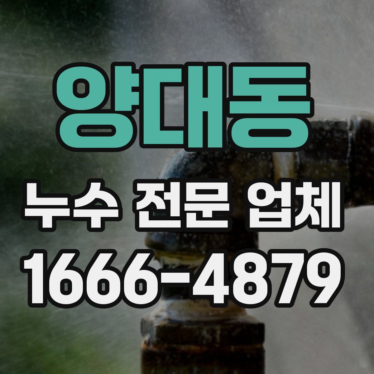 양대동 누수 전문 업체
