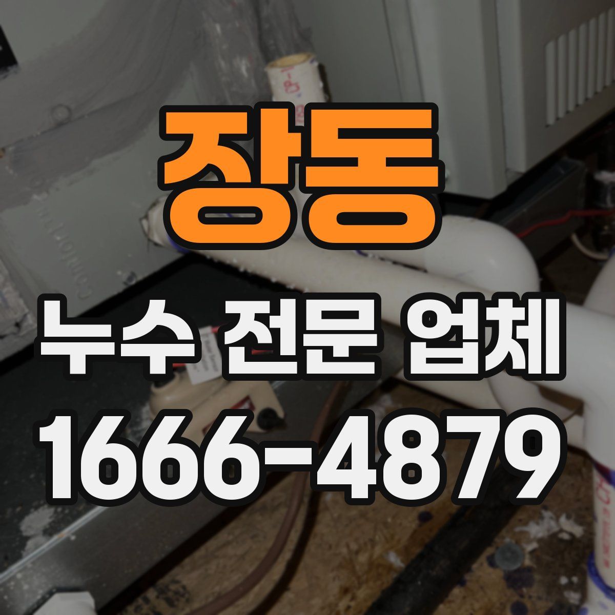 장동 누수 전문 업체
