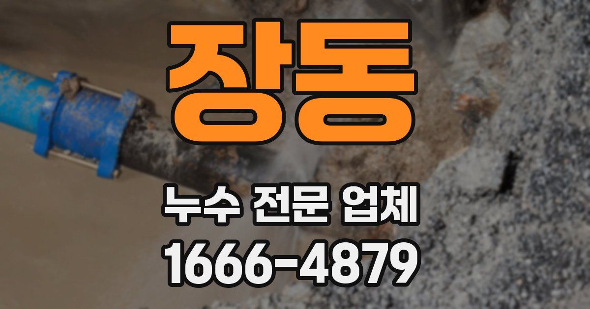 장동 누수 전문 업체