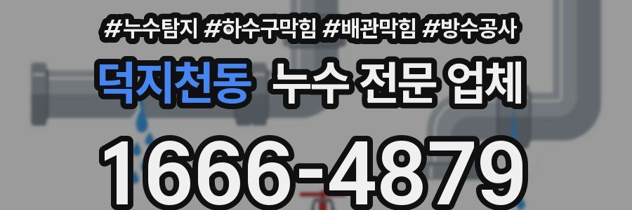 덕지천동 누수 전문 업체