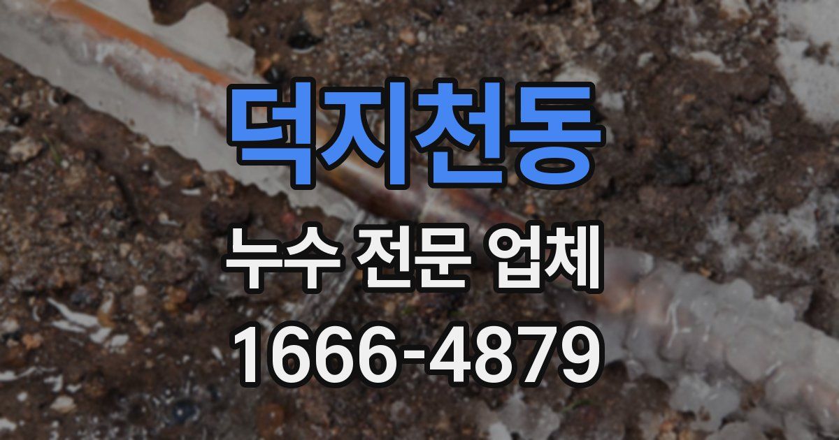 덕지천동 누수 전문 업체