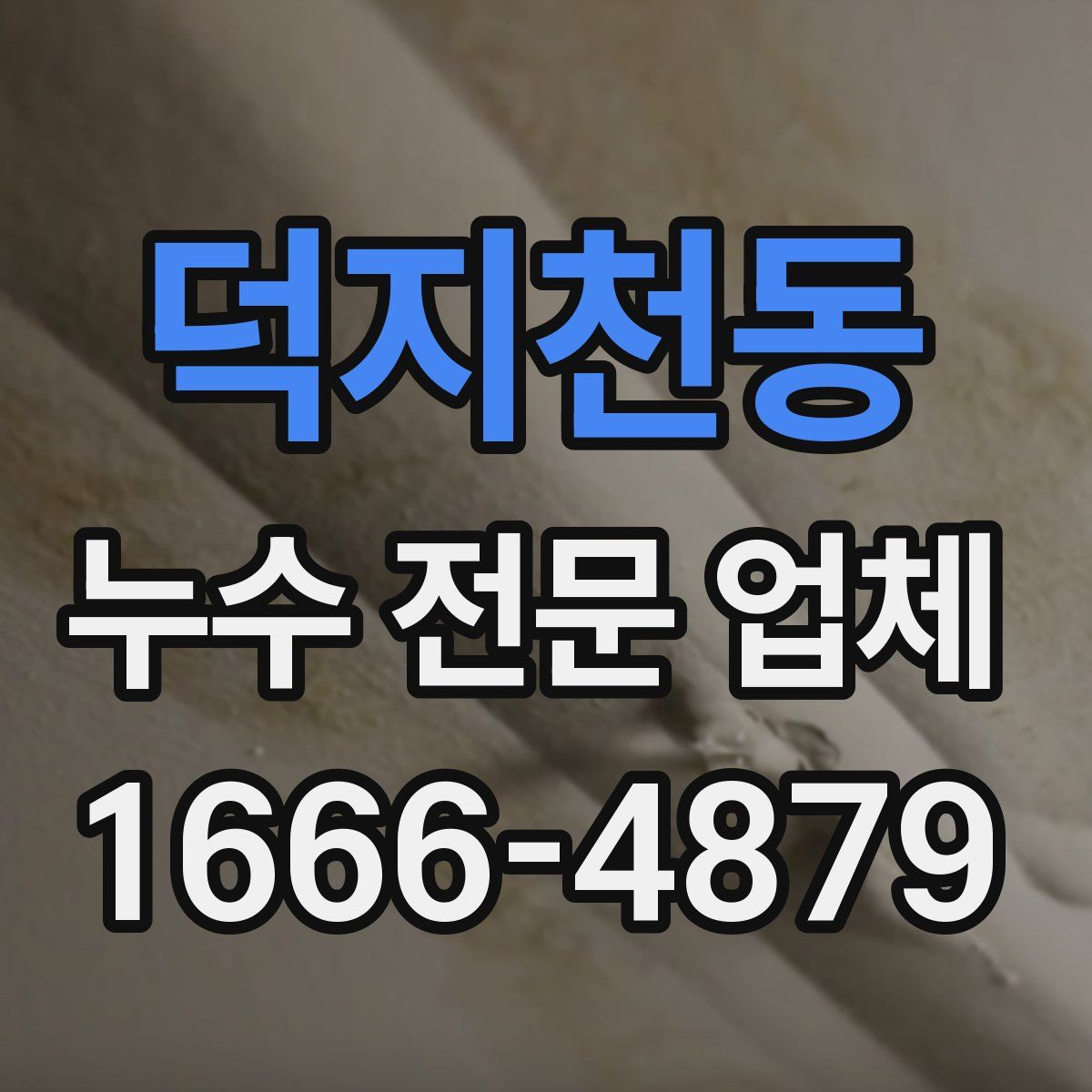 덕지천동 누수 전문 업체