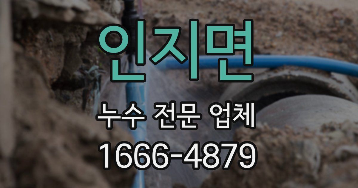 인지면 누수 전문 업체