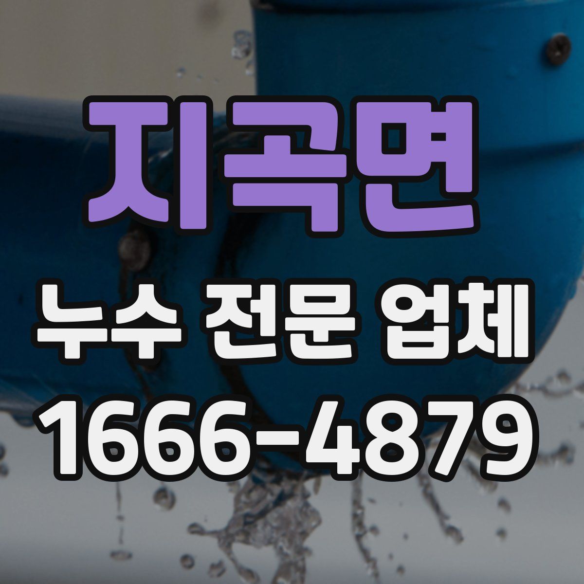 지곡면 누수 전문 업체